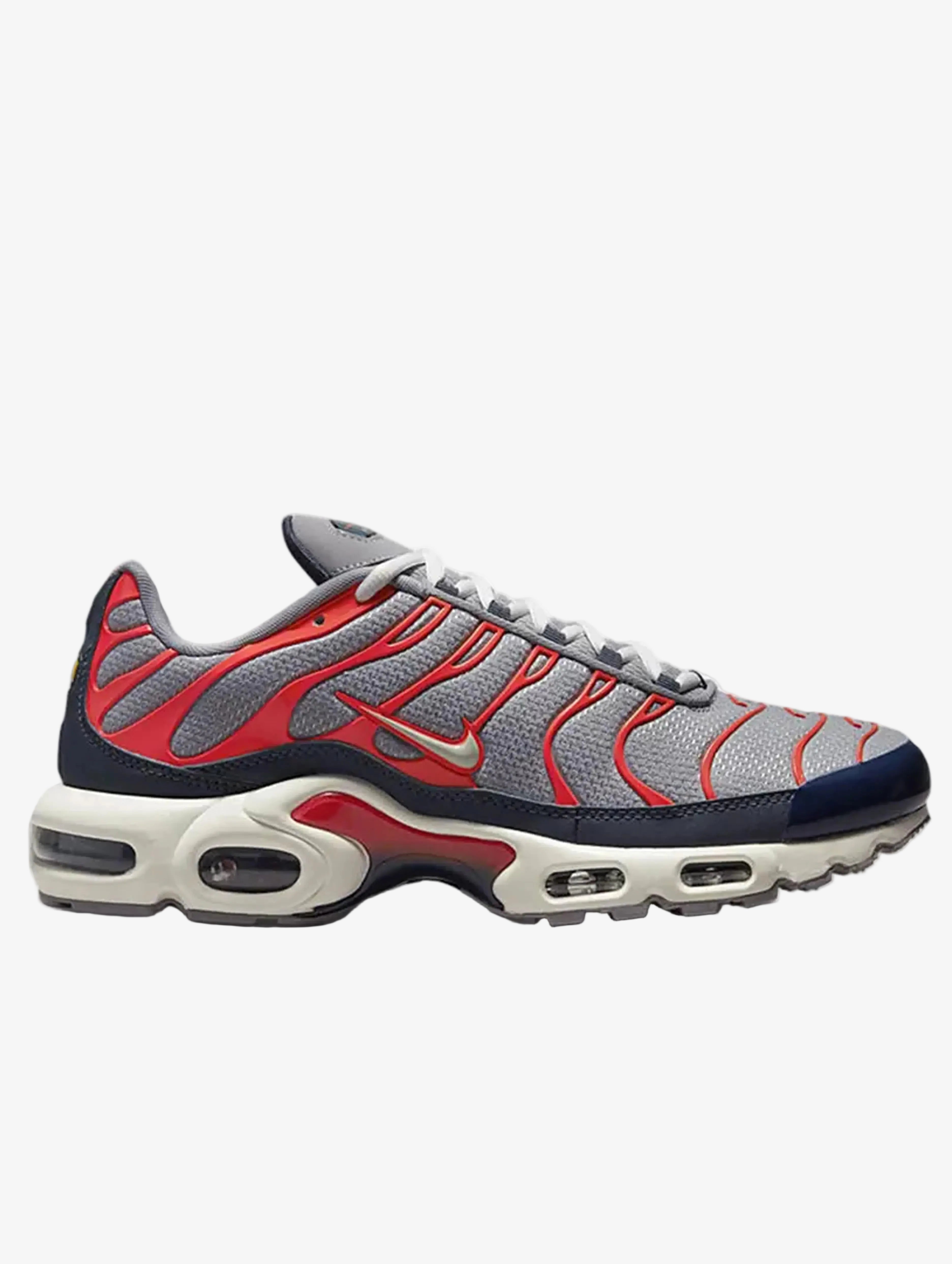 Nike Air Max Plus Tn USA Grey Prior