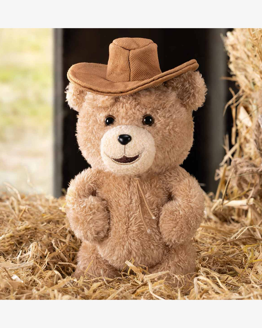 Pop Mart Ted2 Teddy Bear Action Plush Pendant Series Single Blind Box in Melbourne, Australia - Prior