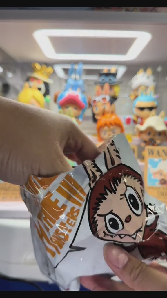 Pop Mart Labubu The Monsters x One Piece Series Sealed Case (12 Blind Boxes)